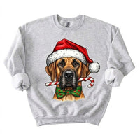 Personalized 50+ Dog Breed Christmas Sweatshirt, Custom Santa Hat Candy Cane Pet Portrait, Dog Mom and Dog Dad Holiday Gift – Great Dane