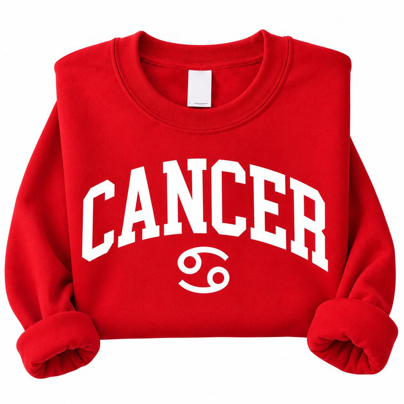 Personalized Zodiac Sign Sweatshirt, Custom Astrology Horoscope Design, Retro College Style Birthday Gift for Astrology Lovers