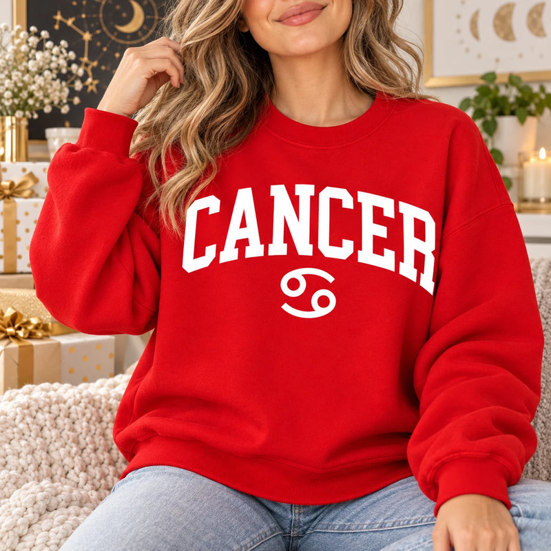 Personalized Zodiac Sweatshirt, 12 Horoscope Signs, Retro Varsity Astrology, Celestial Birthday Gift