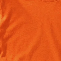 Personalized Dog Breed Halloween T-Shirt, Custom Ghost Walking Pet Top, Spooky Season Dog Mom Gift